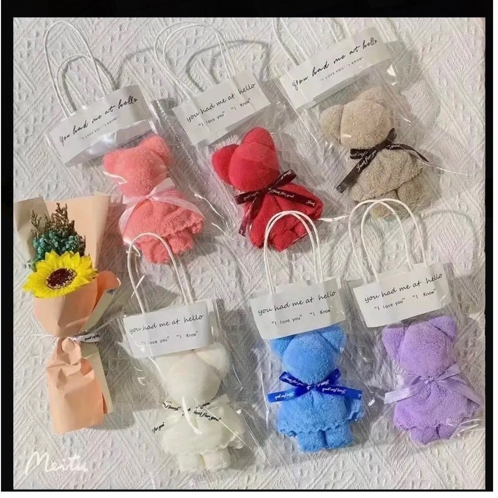 Adorable Microfiber Cloth Bear with Handled Gift Bag, 1 Bear, Choice of Colors